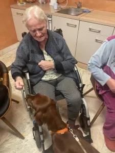 Canistherapie oder pelzige Liebe