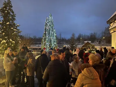 Einschalten der Lichter am Weihnachtsbaum Einschalten der Lichter am Weihnachtsbaum