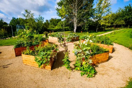 Garten & Bepflanzung Garten & Bepflanzung