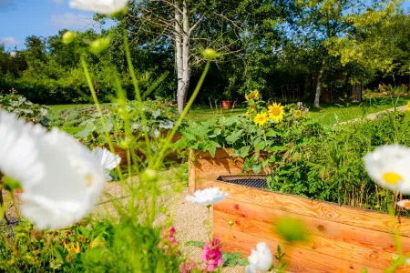 Garten & Bepflanzung Garten & Bepflanzung