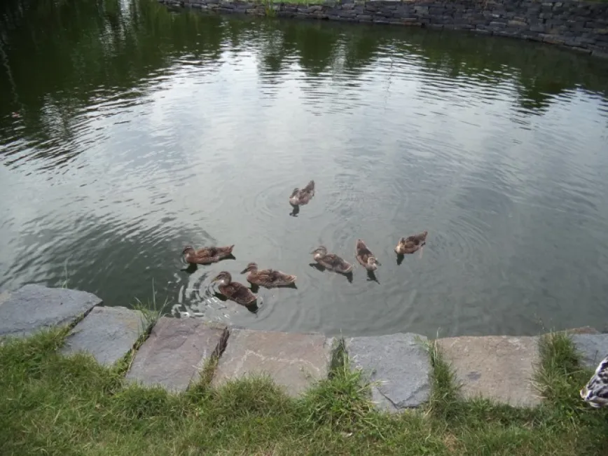 Unsere Tiere / Pet-Therapie Unsere Tiere / Pet-Therapie
