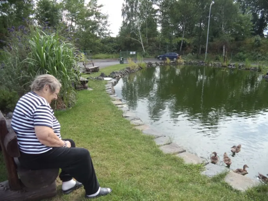 Unsere Tiere / Pet-Therapie Unsere Tiere / Pet-Therapie